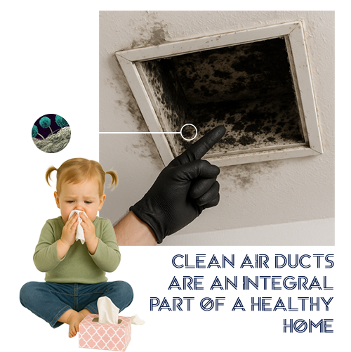 air duct mold inspection