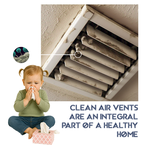 air vent mold inspection
