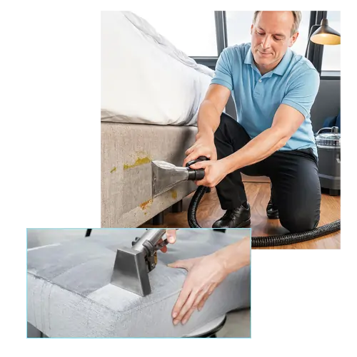 professional upholstery cleaning